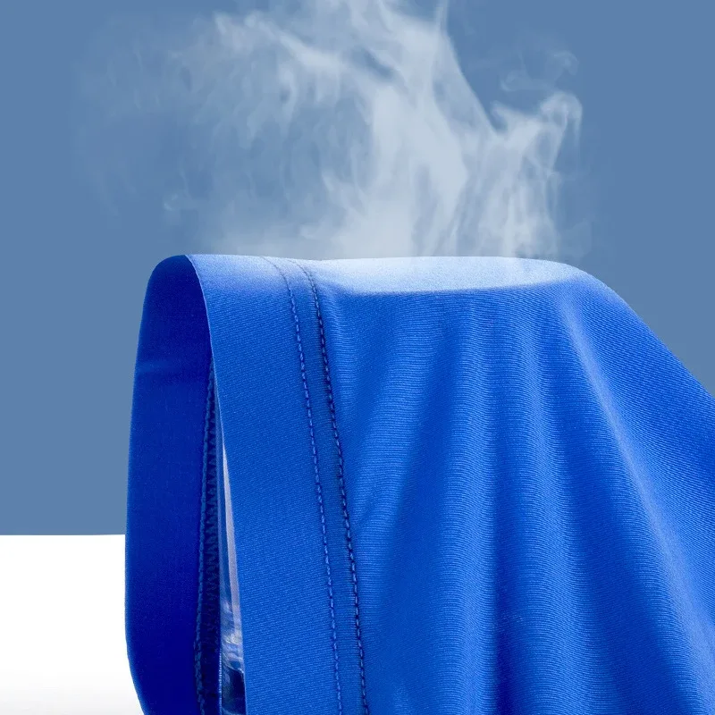 Men's Ice Silk Briefs Thin Quick Drying Underwear Low Waist Solid Color Underpants Male Sexy U Bulge Pouch Breathable Panties