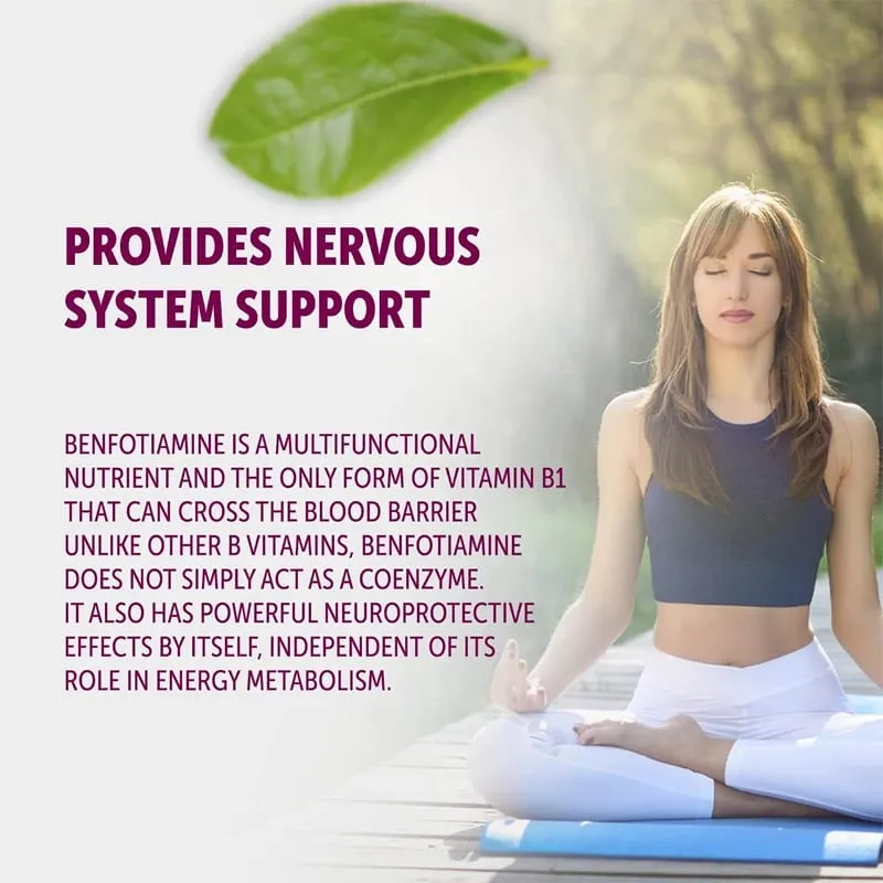 Daily thiamine supplement – aids in nervous system function supports muscle function and is a natural energy supplement