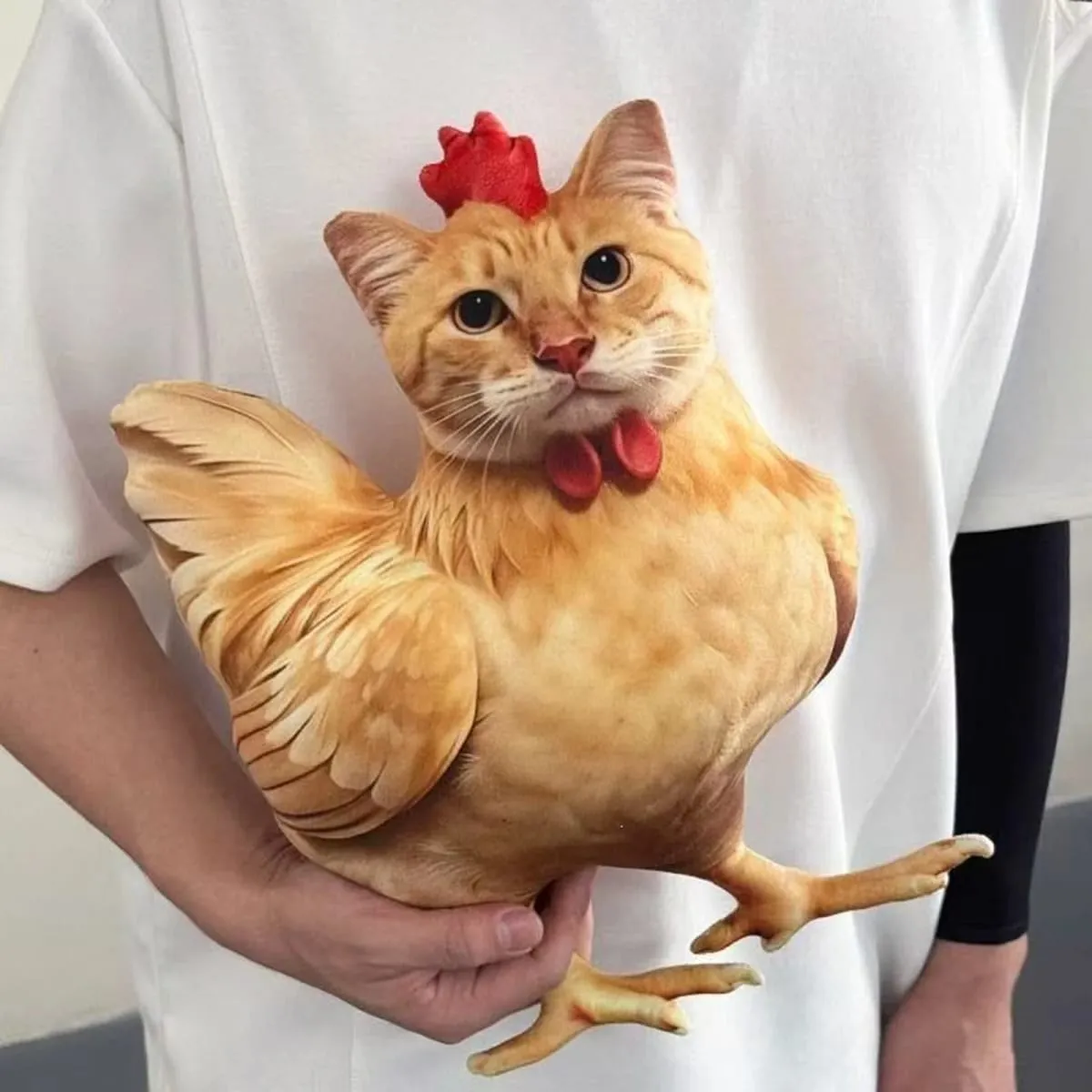 고양이 치킨 재미 있은 참신 부드러운 플러시 베개 귀여운 동물 박제 소파 쿠션 3D 오렌지 얼룩 무늬 새끼 고양이 인형 — image 5