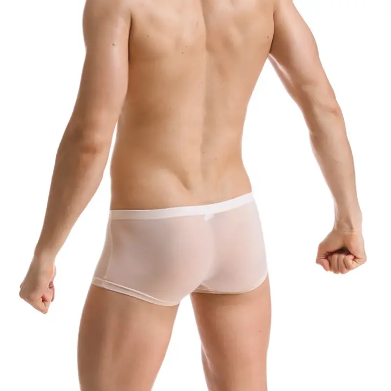 Men Trunks Ice Silk Boxer Thin Translucent Panties Sexy Breathable Underwear Low-Rise U Convex Underpants Knickers Slip Homme — image 11