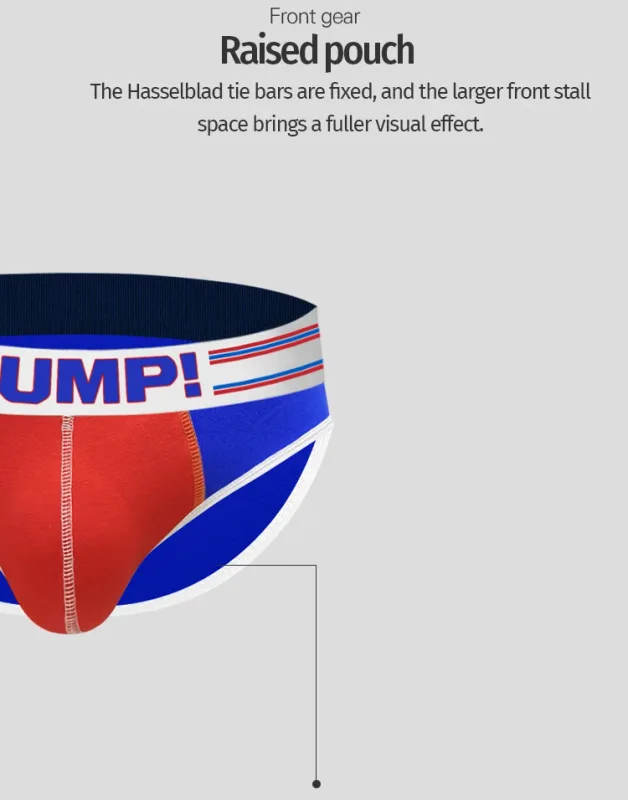 Men's Cotton Color Block Briefs, Pump! Logo Wide Waistband Low Rise Sexy 3D Convex Pouch Underwear
