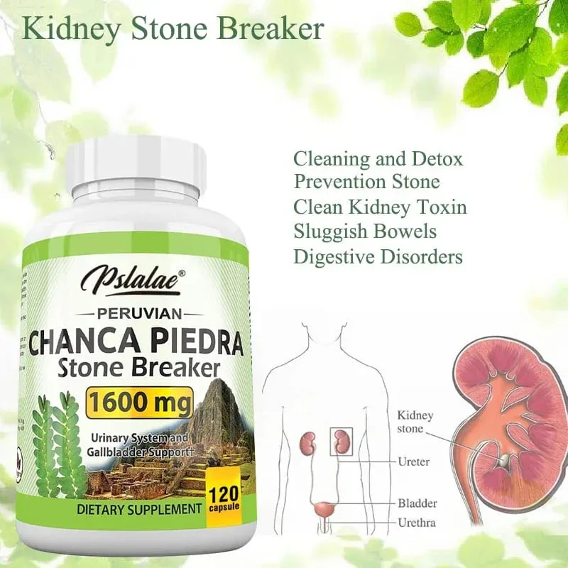 Chanca Piedra Capsules 1600mg - Soutien des voies urinaires Supplément sans OGM Écrasement des calculs rénaux