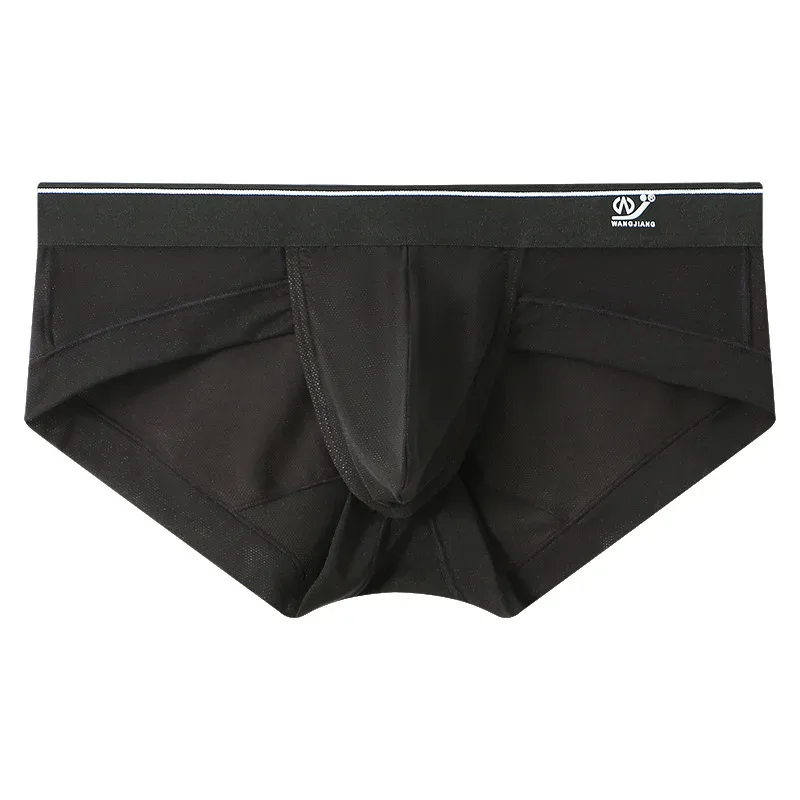 New sissy Men's panties Super Soft Comfortable Underwear Ice Silk Sheer Mesh Men's Briefs Printed Shorts Low-Waist Underpants — image 32