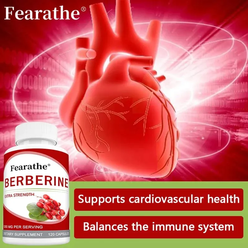 High-potency Berberine Supplement Antioxidant Supports Cardiovascular and Blood Sugar Health Gastrointestinal Health — image 3