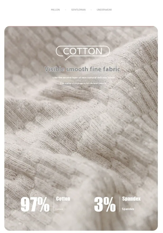 Nuevas bragas para hombres, ropa interior Sexy para niños, bragas de algodón para adolescentes, pantalones triangulares de talla grande, pantalones cortos finos transpirables simples