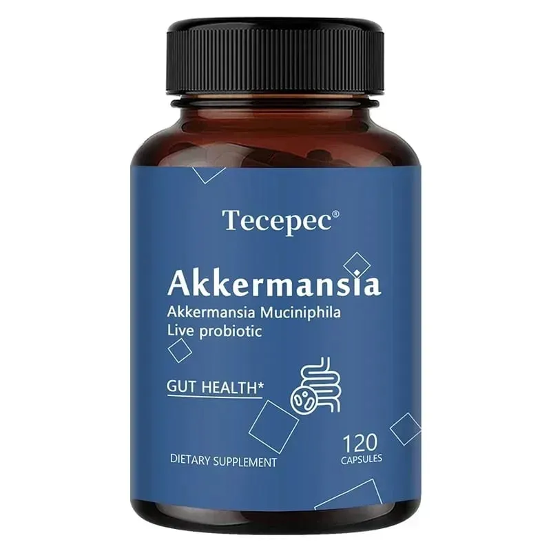 Akkermansia Muciniphila Cápsulas Probióticas Ativas Apoiam a Digestão Saúde Intestinal Promovem o Equilíbrio da Flora Intestinal