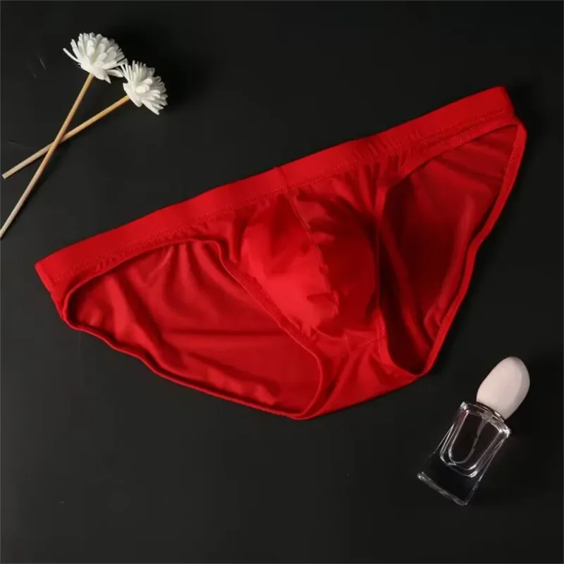 Plus Size M-4XL Man Ice Silk U Pouch Briefs Low Waist Translucent Nylon Underwear One-piece Sexy Ultra-thin Male Underpants — image 14