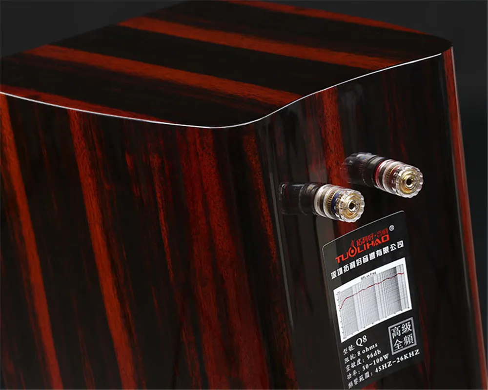Nouveau Q8 6.5 pouces 3ème haut-parleur bibliothèque complète HiFi 8ohms 96dB aimant néodyme pilote correspondant haut-parleur Surround passif