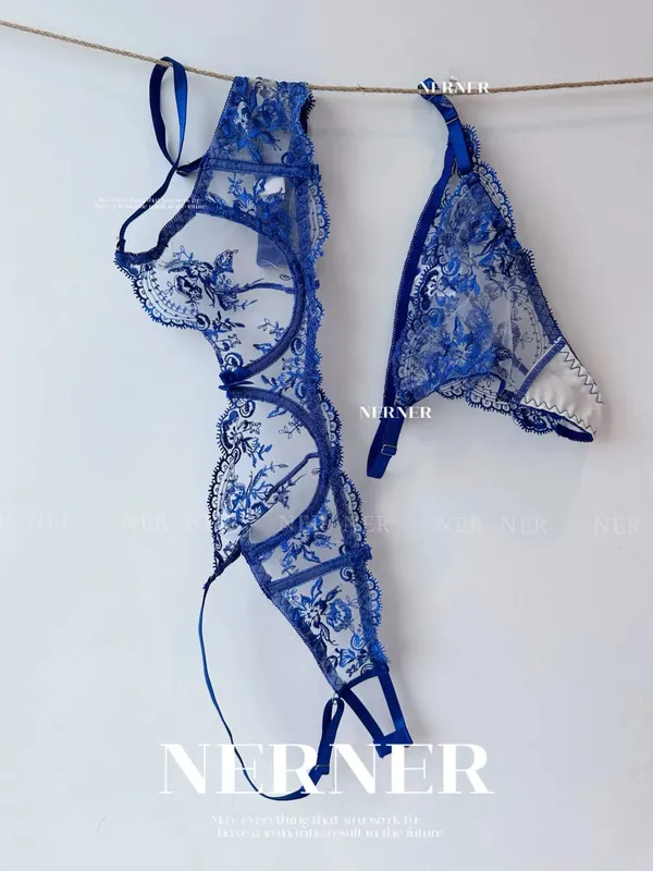 French Style Mesh Embroidery Lace Bra Set With Underwire Slightly Sheer Thin Lingerie Minimizer Bra For Big Bust S-XL — image 9