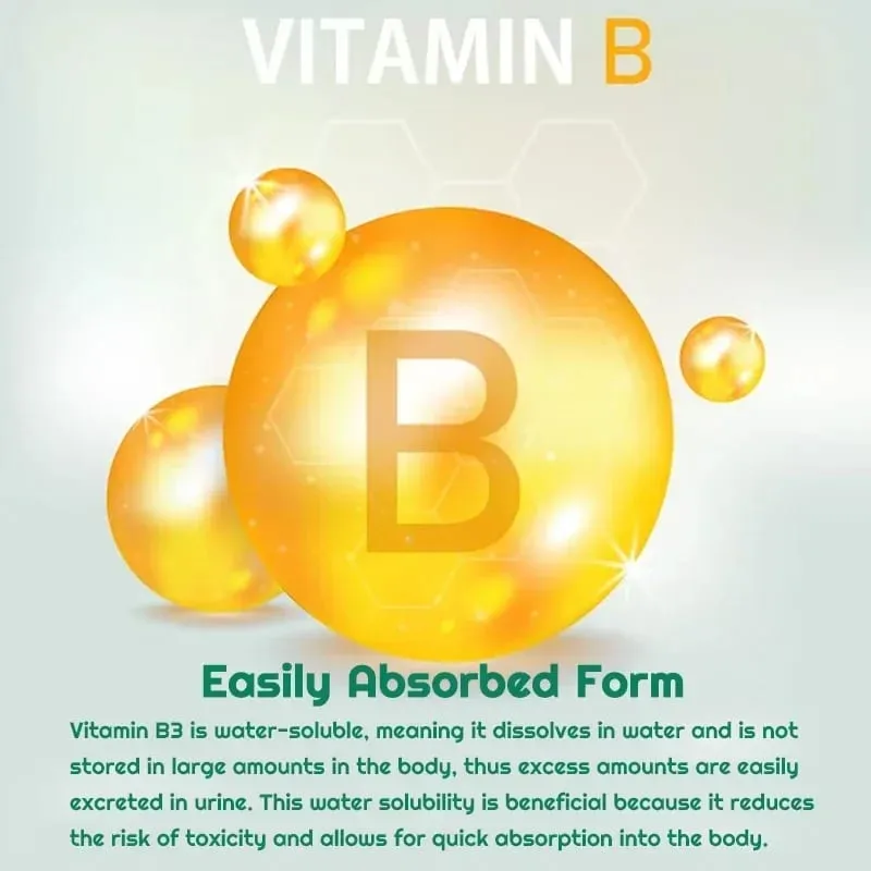 Niacinamide Vitamin B3 1 000 Mg - Dietary Supplement Non-GMO