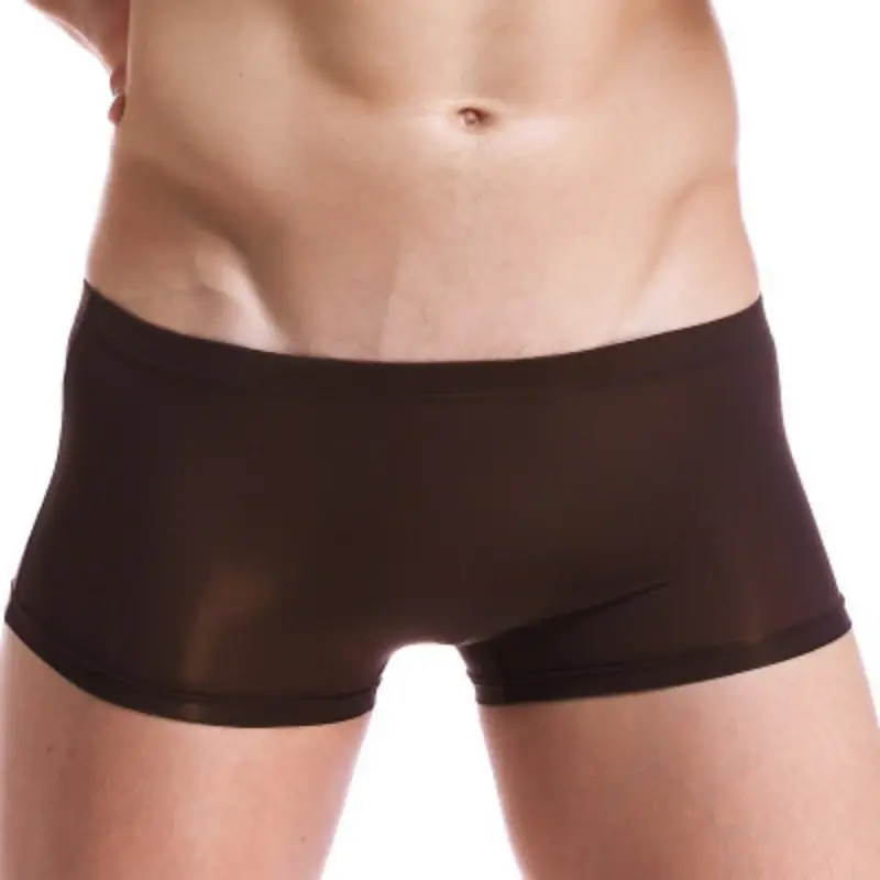 Men Trunks Ice Silk Boxer Thin Translucent Panties Sexy Breathable Underwear Low-Rise U Convex Underpants Knickers Slip Homme — image 7