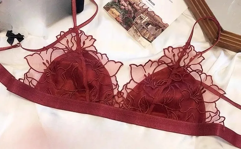  Elegant French Lace Bralette Wireless Triangle Cup No Underwire Thin Straps Small Bust Women Comfort Lingerie Set BANERDANNI — image 12
