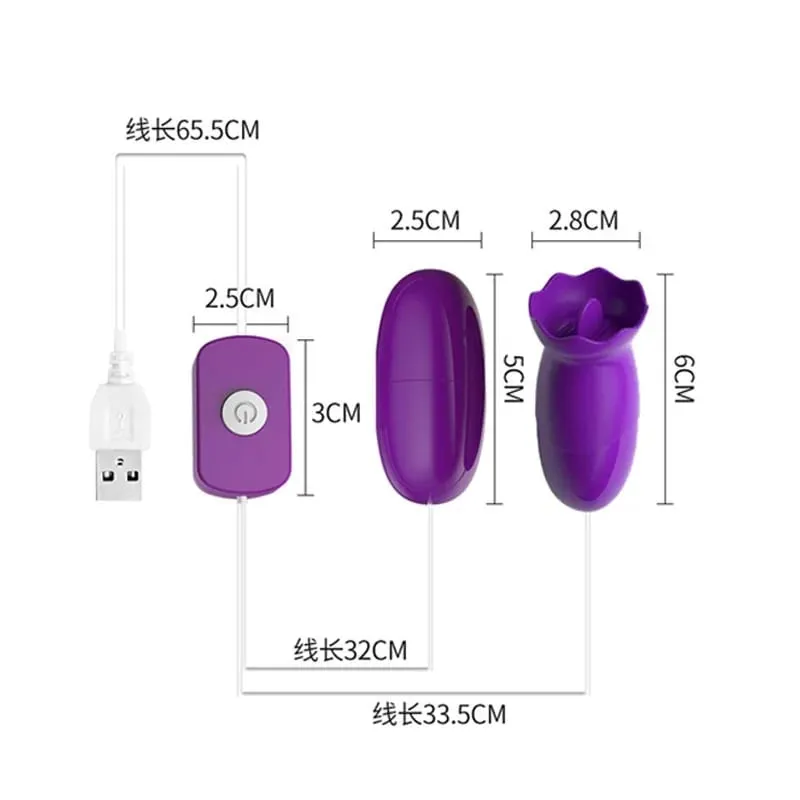 Dual Motor Bullet Vibrator Vibrating Egg USB Rechargeable Clitoral Stimulator Massager Multi Speed Pleasure Sex Toy
