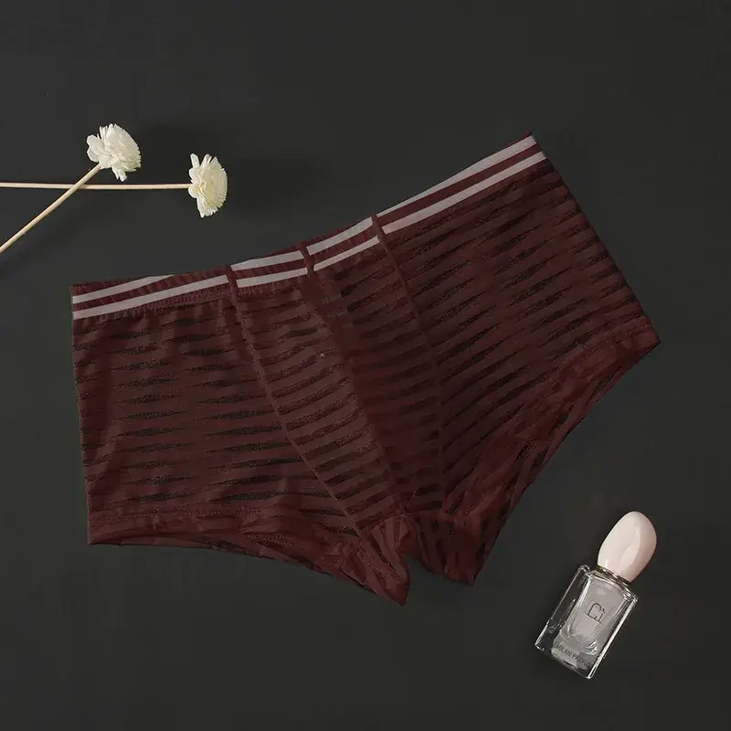 Transparent Underwear Sexy Men Ice Silk Striped Boxer Trunk Breathable Underpants U Convex Pouch Panties Man Boxer Briefs Short