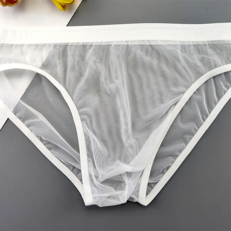 5pcs Transparent Mesh Underwear for Men Ultra-thin Perspective Mid-rise Male Pouch Slips Homme Panties Plus Size