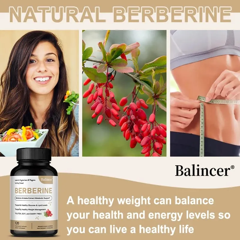 Berberine Capsules 500 Mg - Promotes Cardiovascular and Cholesterol Health Support Healthy Weight Management and Immune System
