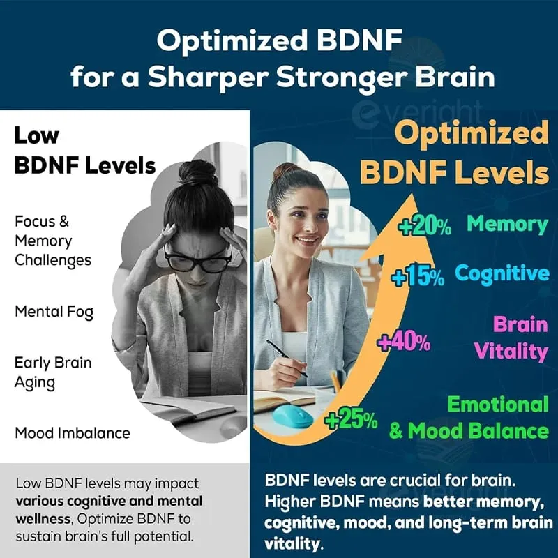 Brain Supplement for Memory Focus Nervous System Energy and IQ Concentration and Cognition Health — image 5