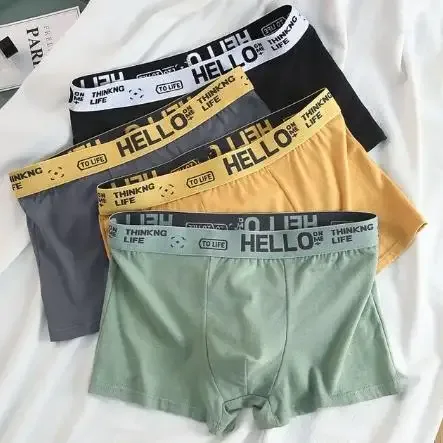 Wang095