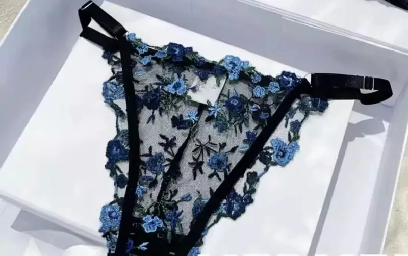 French Floral Bra Set Women | Sweet Sexy Sheer Mesh Lace Transparent Underwear Set | Practical & Feminine MOYISU Sexy Panty Set