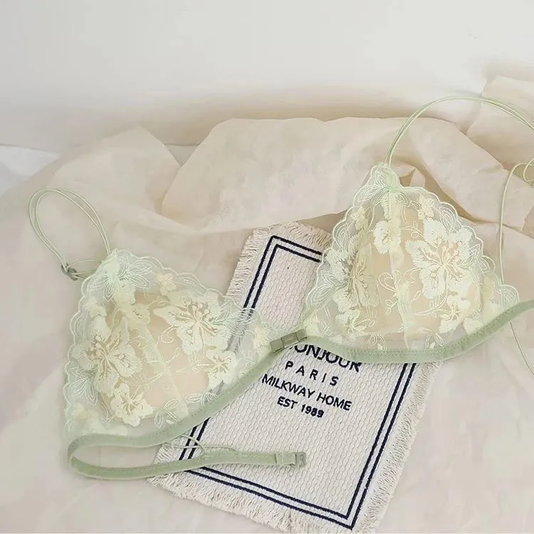 French Lace Bralette Small Bust Women Wireless Ultra Thin Sexy Embroidery Mesh No Underwire Push Up Comfort Bra Set BANERDANNI