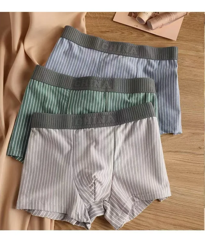 4Pcs Boxer Shorts Men's Underwear Sexy Panties Cotton Boxers Striped Underpants Male Shorts U Convex Lingerie Plus Size L-6XL