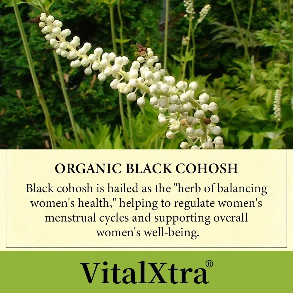Black Cohosh Root Regulates Endocrine Function Improves Sleep Quality Relieves Menopausal Symptoms Help Cardiovascular Health