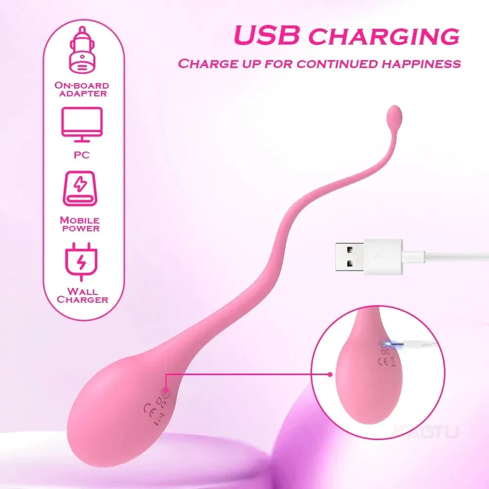 Dálkové ovládání vaginální vibrátor pro ženy Stimulátor klitorisu bradavek Vibrační masážní přístroj s vajíčkem G-Spot Sexy hračky pro dospělé