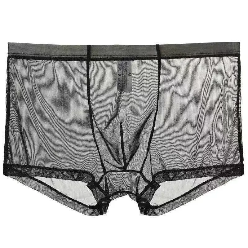 Underwear Transparent Boxers Bulge Ice Silk See Through Underpants Sexy Briefs Low Waist Panties Lingerie Intimates