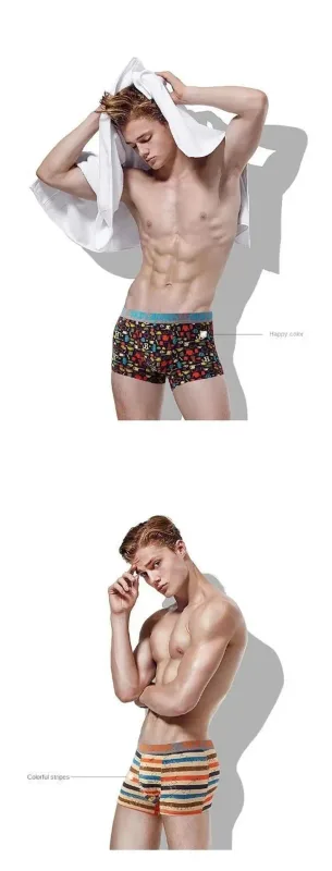 4Pcs Boxer Shorts Men's Underwear Sexy Panties Cotton Boxers Man Underpants Male Shorts Homme U Convex Lingerie Free Shipping