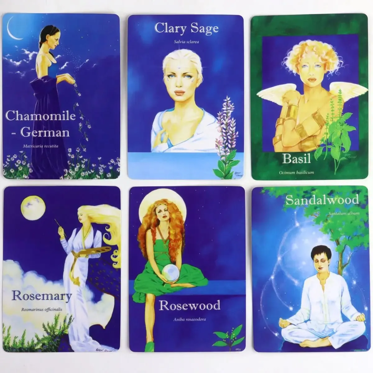 Aromatherapy Insight Cards - A Powerful Tool To Help You Tap Into Your Intuition 42 Pcs Oracle Cards 10.4*7.3cm — image 6