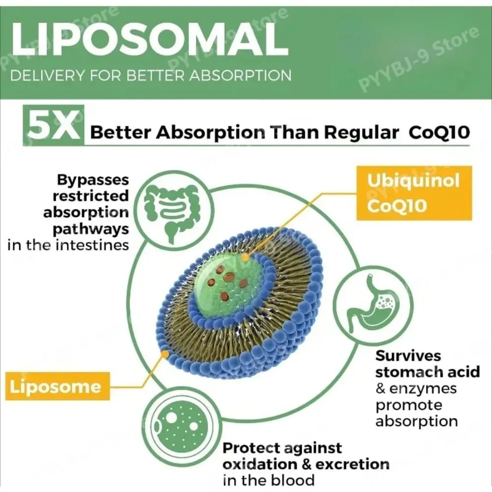 CoQ10 Ubichinol 1000 mg Wegańskie kapsułki żelowe 60 Ct Liposomalny koenzym Q10 o wysokiej absorpcji dla serca Energia Przeciwutleniacz Codzienne wsparcie
