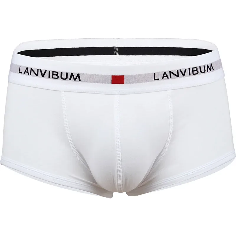 Sous-vêtements pour hommes jeunesse U surélevé taille basse coton quadrilatère pantalon couleur unie grand short pour hommes