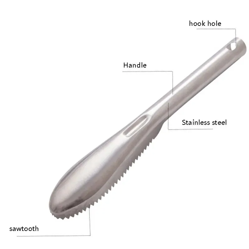 Fish Scaler Remover Cleaner With Sawtooth Easily Remove Fish Scales For Home Kitchen Fish Cleaning Seafood Tools Descaler