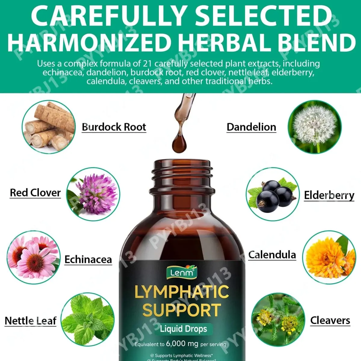 Lenm 60ml 림프 시스템 정화 면역 지원 액체 보충제 BalanceSupport를 위한 천연 유기농 림프 허브 방울
