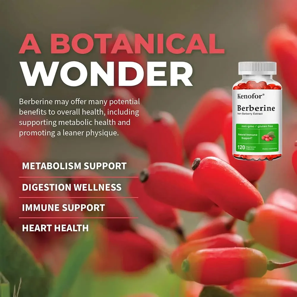 Premium Berberine Supplement Capsules - Supports Immune System Healthy Food Antioxidant NON-GMO