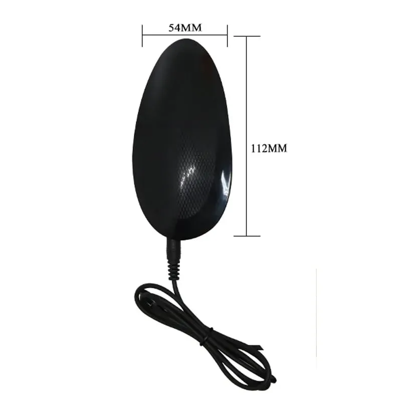 New Wired Remote - Vibe Leather Panties Dildo Set: Seahorse - Shaped Realistic Design Perfect for Lesbian Intimate Adventures