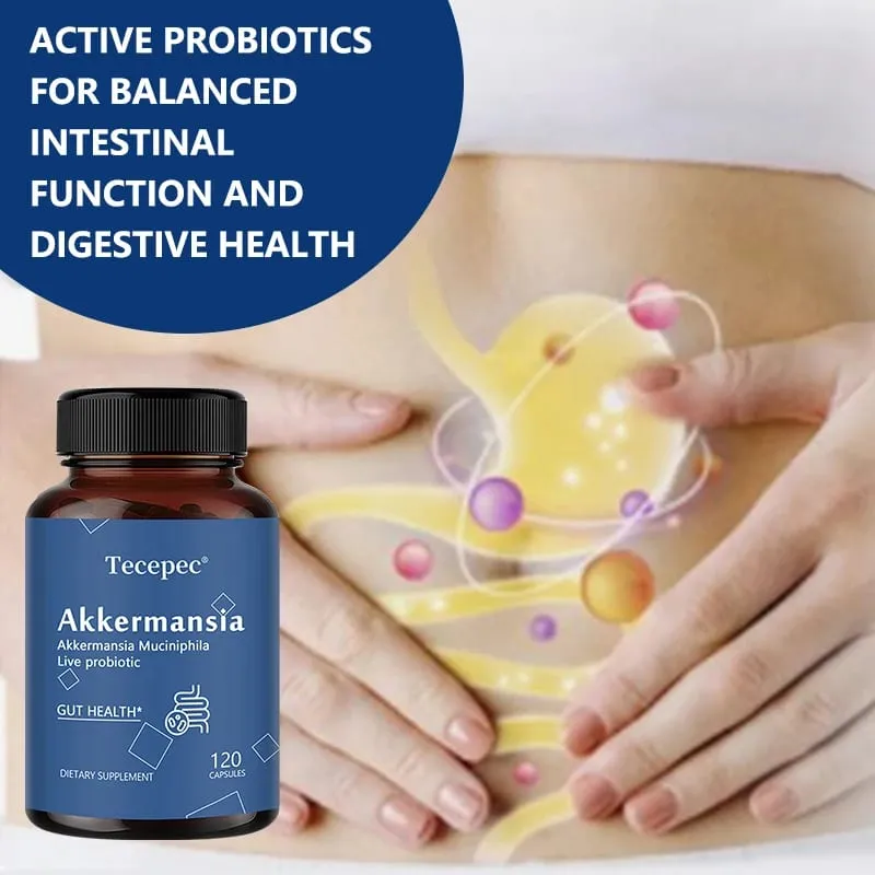 Akkermansia Muciniphila Cápsulas Probióticas Ativas Apoiam a Digestão Saúde Intestinal Promovem o Equilíbrio da Flora Intestinal