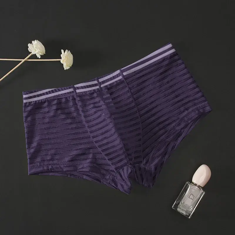 Transparent Underwear Sexy Men Ice Silk Striped Boxer Trunk Breathable Underpants U Convex Pouch Panties Man Boxer Briefs Short