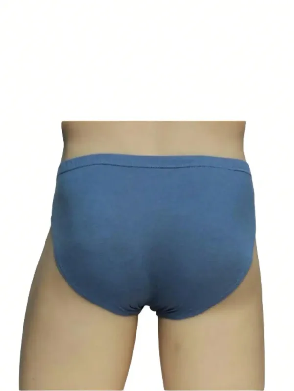 6pcs Random100% Cotton Mens Briefs Plus Size Underwear 5XL/6XL Men's Breathable Solid Sexy Comfortable Shorts