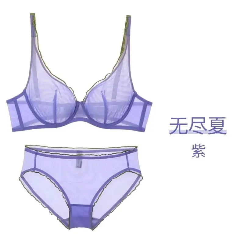Minimizer Bra Plus Size Underwire French Style Triangle Cup Push Up Sexy Mesh Lingerie Set Support 32-40 MOYISU Sexy Bra Set BC — image 13