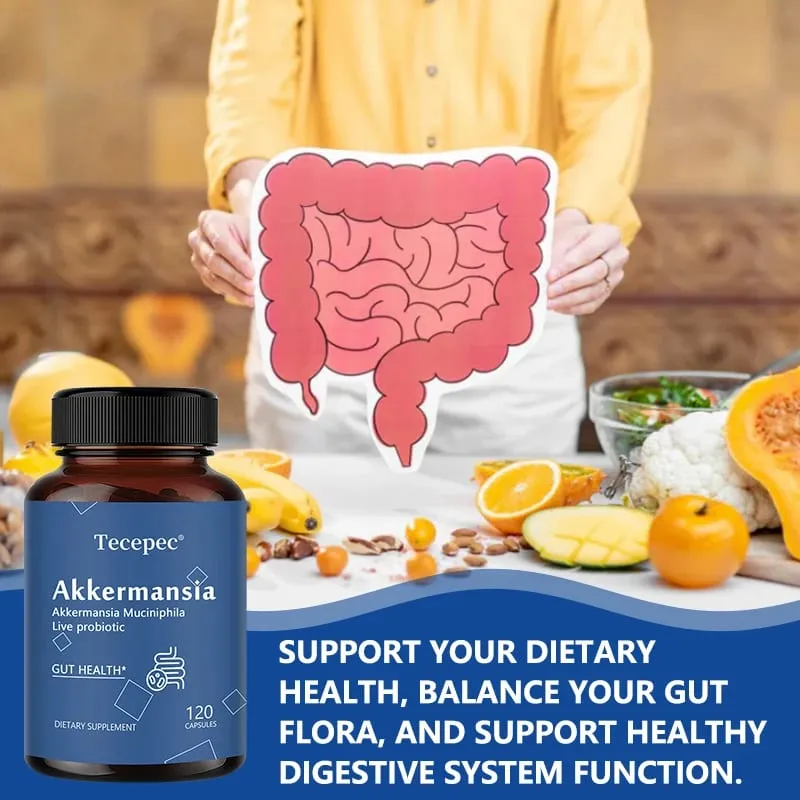 Akkermansia Muciniphila Cápsulas Probióticas Ativas Apoiam a Digestão Saúde Intestinal Promovem o Equilíbrio da Flora Intestinal
