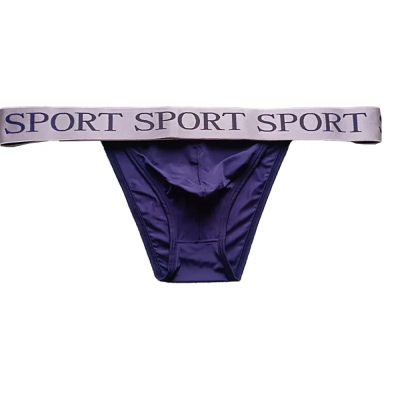 Sissy Men Ice Silk Soft Bugle Pouch Briefs Sexy Underwear Pouch Comfy Thin Breathable Low Rise Mini Briefs Lingerie — image 4