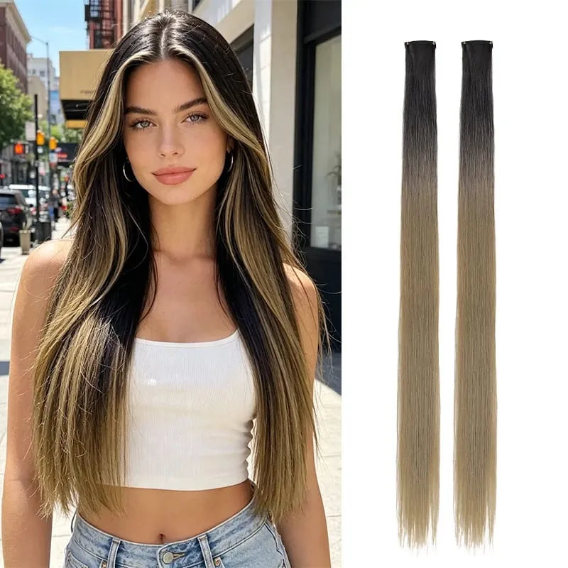 2Pcs Pack Two-Tone Ombre Highlight Clip in Wig Straight Hair Piece Synthetic Fiber Comb for Daily Party Look