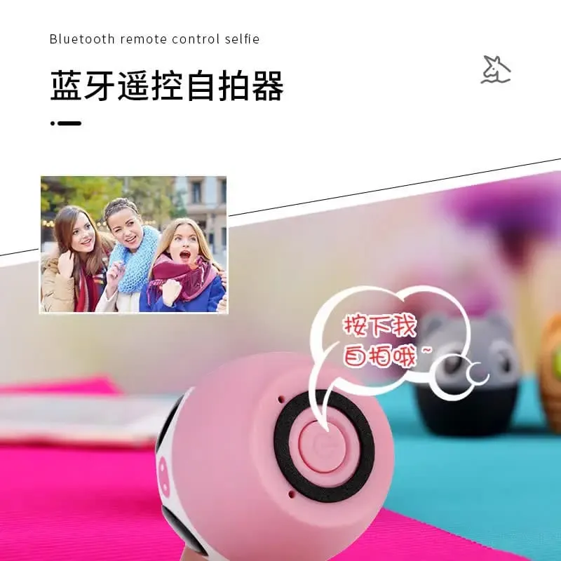 Přenosné Bluetooth reproduktory Unicorn Hovory handsfree Malé reproduktory Silné basy Bezdrátový Bluetooth Stereofonní reproduktor Publikum