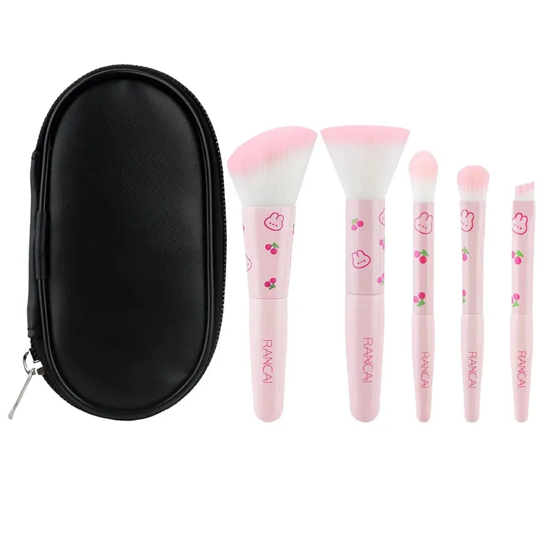 5-delige schattige compacte make-upborstelset met etui Premium borstel voor onberispelijke foundation Blush oogschaduwtoepassing Beauty Tools