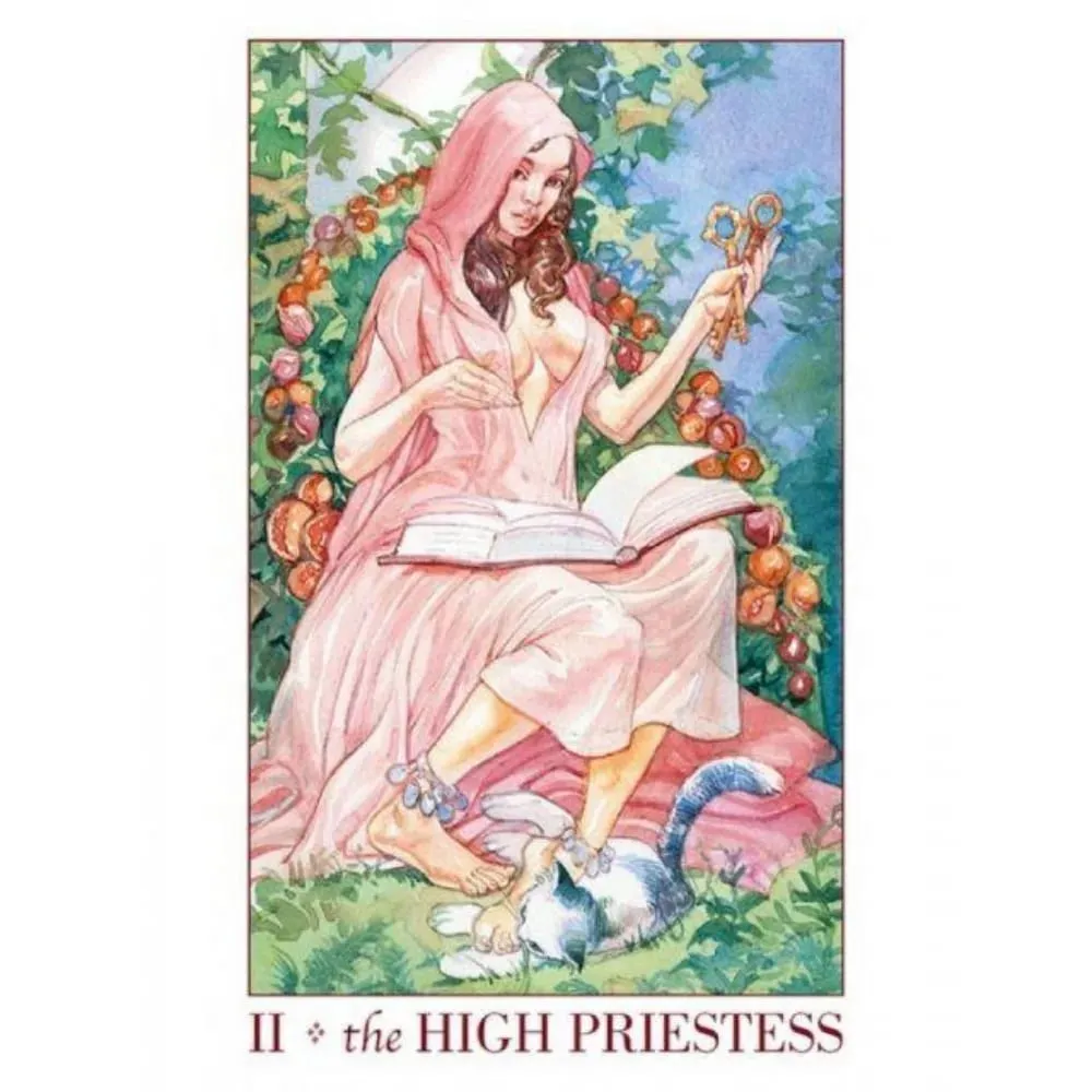 Tarot of Sexual Magic Harness and Manipulate These Passionate Wild Empowering Playful Energie — image 3