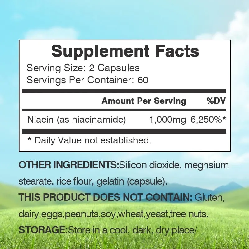 Niacinamide Vitamin B3 1 000 Mg - Dietary Supplement Non-GMO