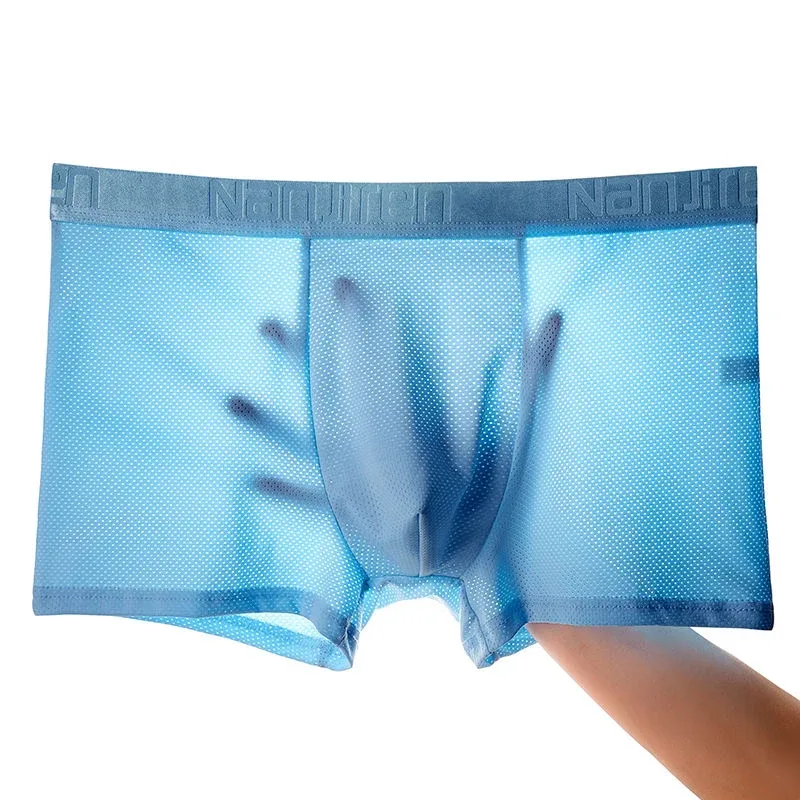 4pcs Ice Silk Mesh Boxer Shorts Men's Underwear Cool Underpant Breathable Sexy Slim Panties Bamboo Lingerie Wholesale Lots L-6XL 3256806582323621