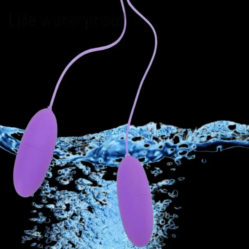 Dual Motor Bullet Vibrator Vibrating Egg USB Rechargeable Clitoral Stimulator Massager Multi Speed Pleasure Sex Toy