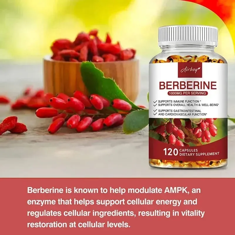 Berberine Capsules - Support Overall Health and Immune Function Promote Digestion Enhance Energy Anti-oxidant and Anti-aging
